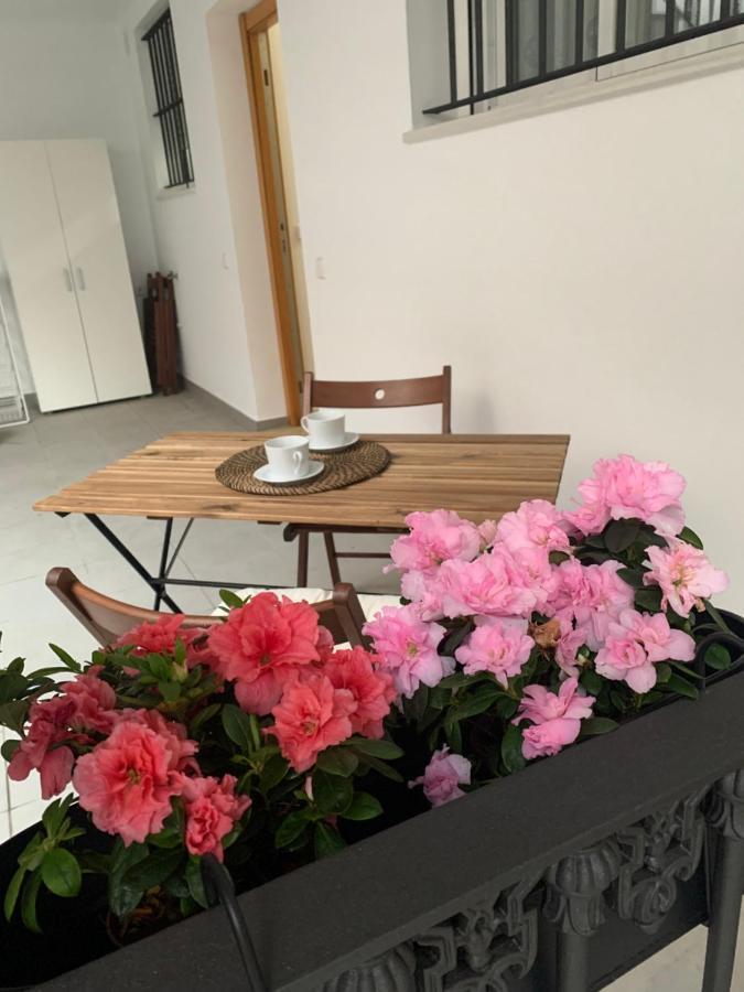 サンルーカル・デ・バラメダCasa Vigonアパートメント エクステリア 写真